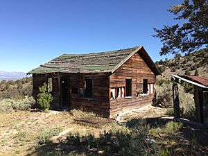 Archivo:2013-06-27 09 07 01 Abandoned building in the ghost town of Sprucemont Nevada