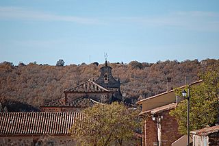 Barbatona.JPG