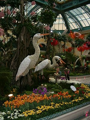 Archivo:Bellagio Indoor Flower Garden