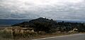 Bosque alegre desde rut