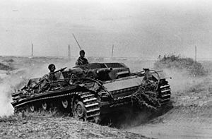 Archivo:Bundesarchiv Bild 183-J21826, Russland, Kampf um Stalingrad, Sturmgeschütz