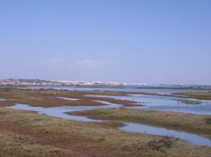 Archivo:Caño de Sancti Petri - San Fernando