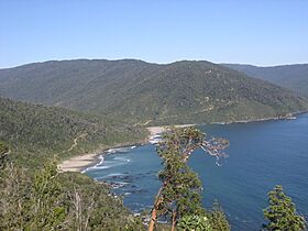 CaletaSanCarlos.jpg