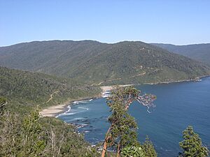 Archivo:CaletaSanCarlos
