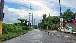 Carretera PR-687, Vega Baja, Puerto Rico (2).jpg