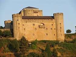 Archivo:Castillopuebladesanabria