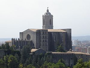 Archivo:Catedral Girona from Montjuic