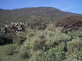 Cerro Mesa Ahumada (3).JPG