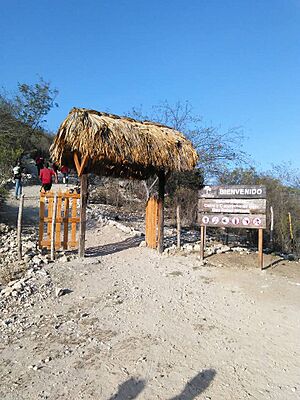 Archivo:Cerro cucurucho