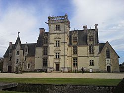 Château de Saint-Ouen de chamazé.jpg