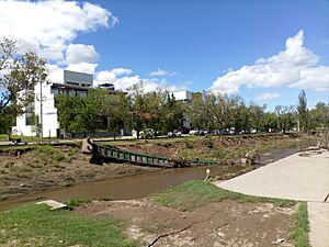 Archivo:Consequences torrential rain 7 - Bahía Blanca - March 2025
