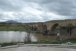 El Puente del Arzobispo Puente 974.jpg