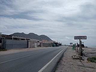Entrada Almadraba.jpg