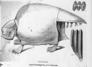 Archivo:Glyptodon Owen 1839