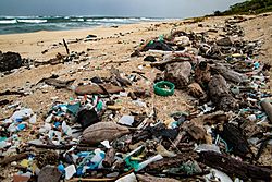 Archivo:HIHWNMS trash on the beach (50093889173)