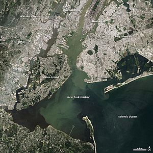 Archivo:Irene's Sediment in New York Harbor (6105706375)