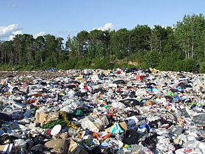 Archivo:Landfill