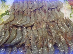 Archivo:Langostinos crudos