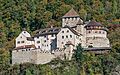 Liechtenstein asv2022-10 img22 Vaduz Schloss
