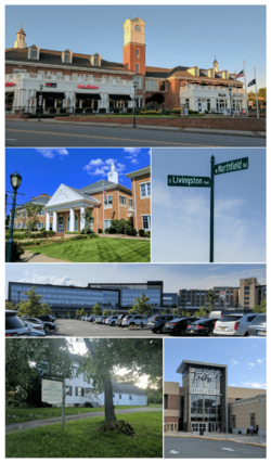 Livingston NJ Montage.png
