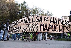 Archivo:Manifestación mapuche Valpo 2010
