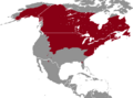 Microtus pennsylvanicus range map