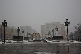 Archivo:Moscow, Manezhnaya Square - snow, slush and fog (31952034817)