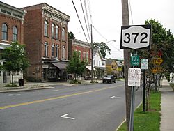 NY 372 heading eastbound in Greenwich.jpg