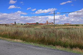 Narros de Saldueña, desde carretera de Narros.jpg