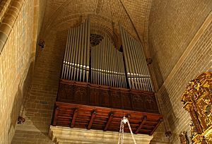 Archivo:Organo catedral pamplona