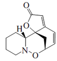 Phyllantidine
