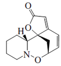 Phyllantidine.png