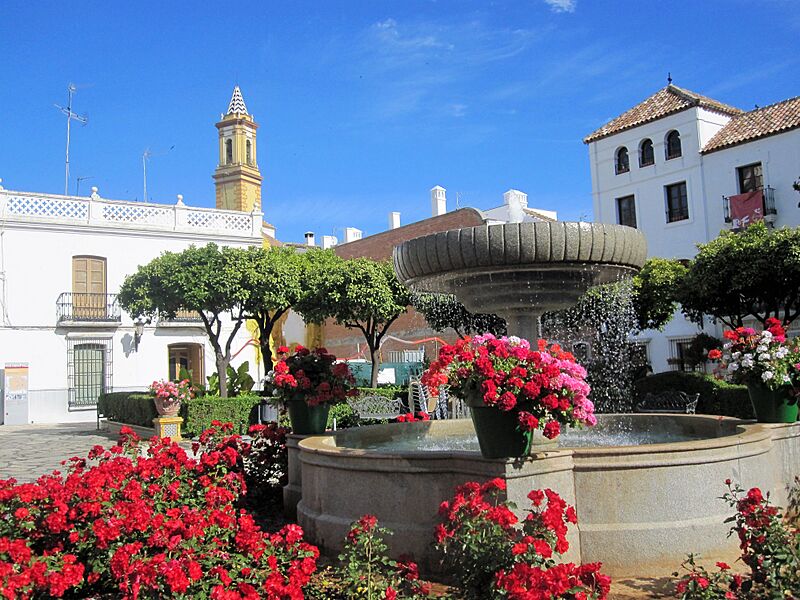 Plaza de las Flores