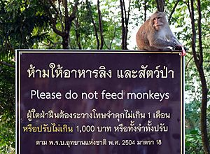 Archivo:Please do not feed monkeys Koh Chang