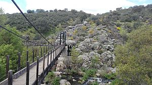 Archivo:Puente Castro Celta Capote