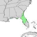 Quercus chapmanii range map 1