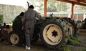Archivo:Reparación de tractor