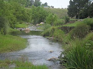Archivo:Rio San Pedro PDG