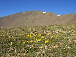 Archivo:San Luis Peak, San Juan Mountains, Saguache County, Colorado, USA 01