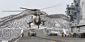 Archivo:Sea King Lifting Off from HMS Illustrious near Norway MOD 45156186