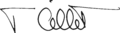 Signature of Tansu Ciller