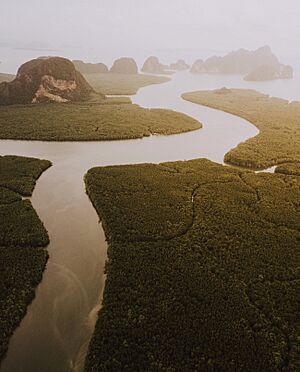 Archivo:Sunset from above Phang-nga