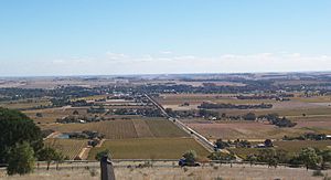 Archivo:Tanunda