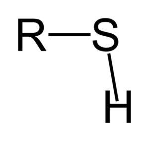 Archivo:Thiol-group