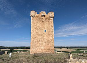 Archivo:Torre de Hoyales de Roa 01