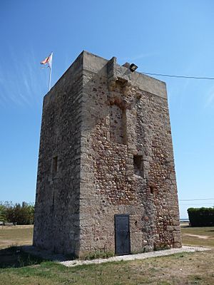 Archivo:Torre del Mar de Burriana 10