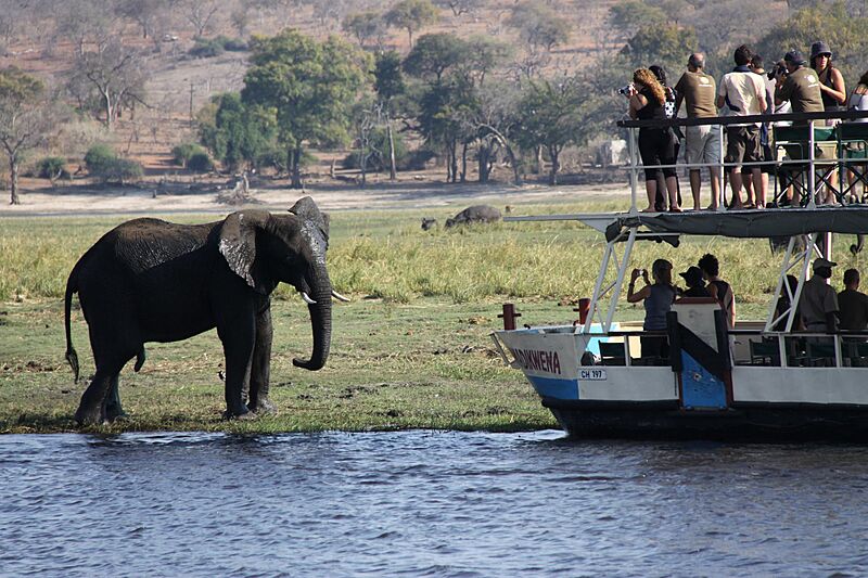 Tourists, elephants and Sedudu Island