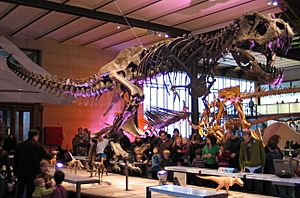 Archivo:Tyranosaurus Rex 28-12-2007 15-01-16