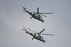 Archivo:Ukrainian Mil Mi-24 helicopters