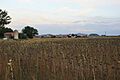Villaseca de Arciel, Soria, España, 2015-09-29, JD 37